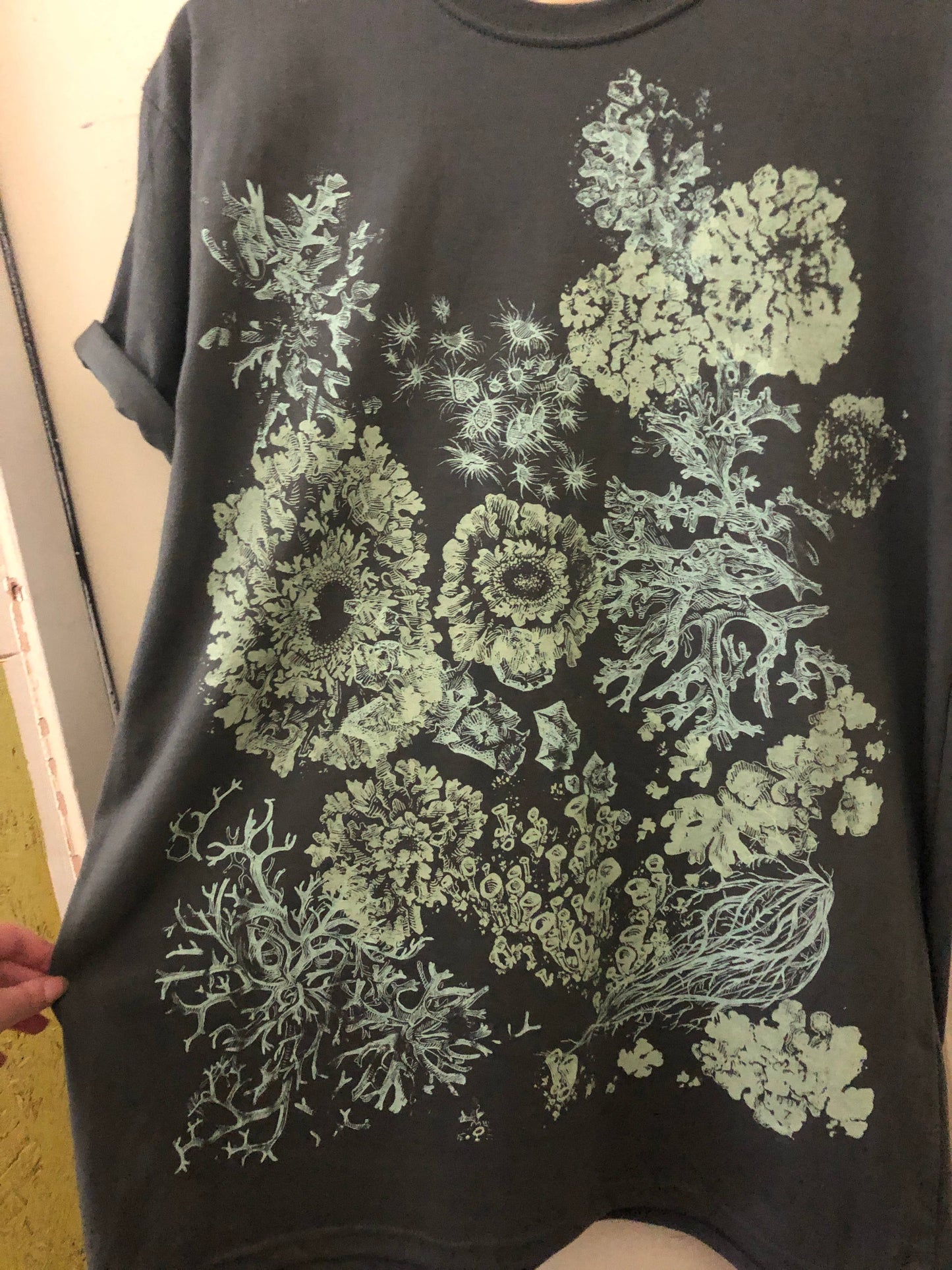 Lichen Organic Cotton T shirt