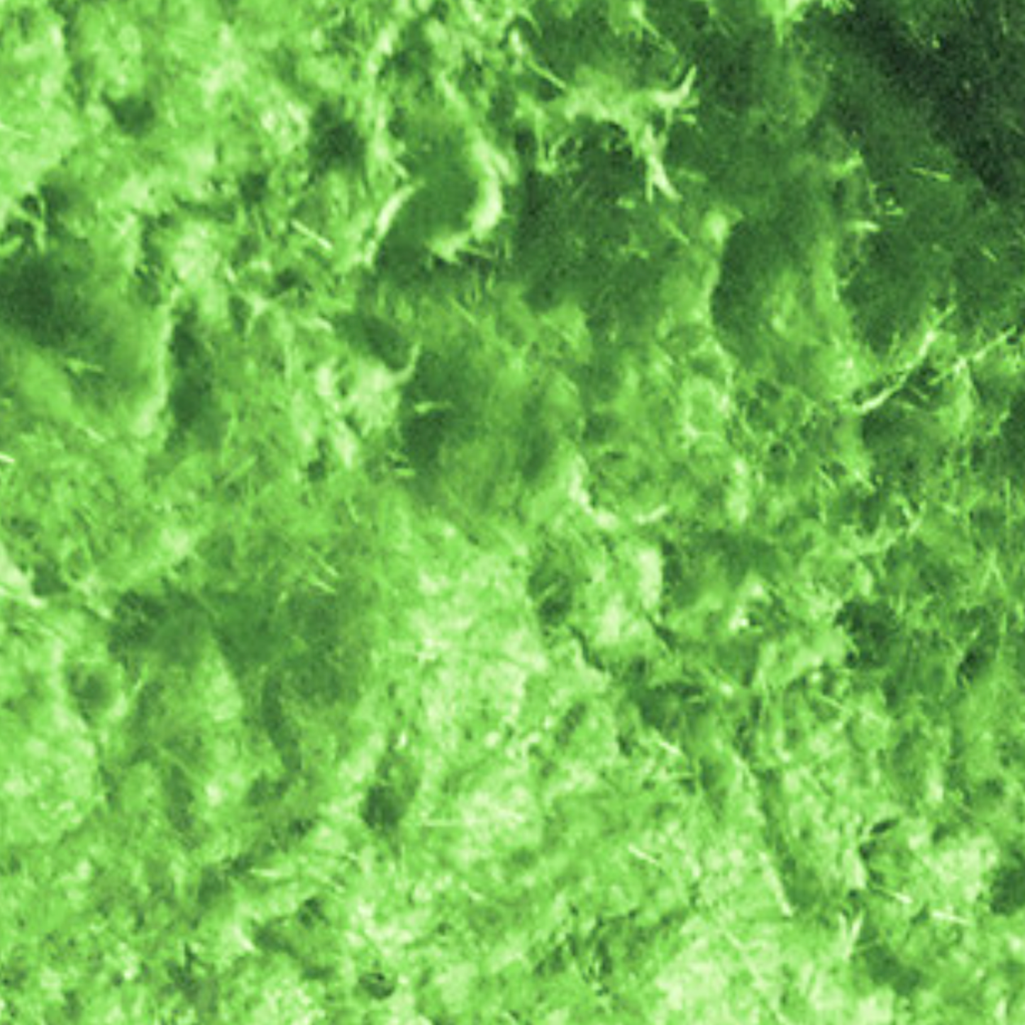 Moss and Grass Effects Pastes
