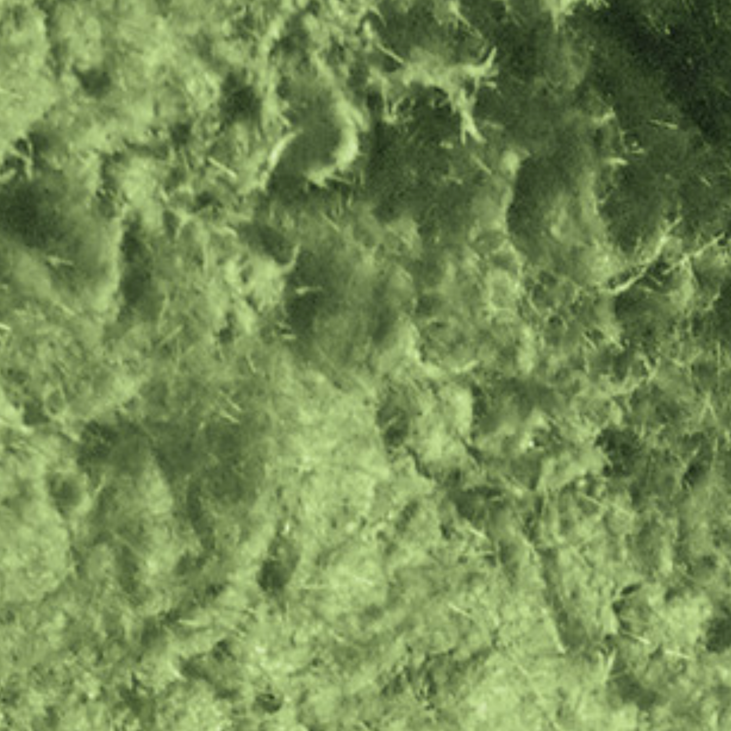 Moss and Grass Effects Pastes