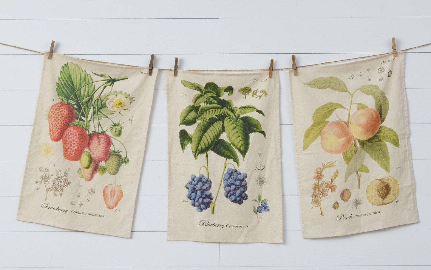 Tea Towels - Freshly Picked Fruits Set of 3
