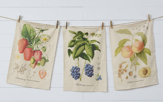 Tea Towels - Freshly Picked Fruits Set of 3