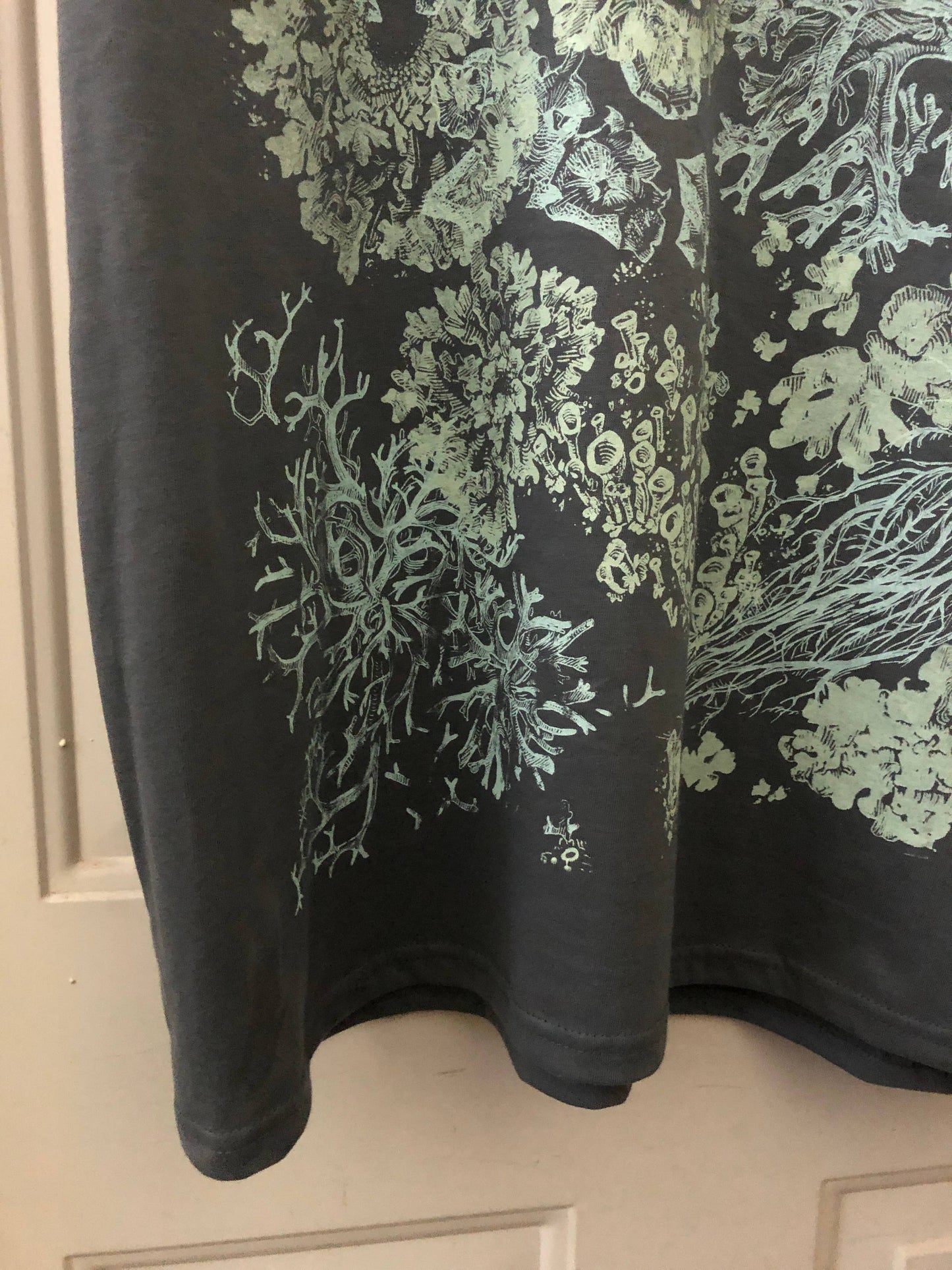 Lichen Organic Cotton T shirt