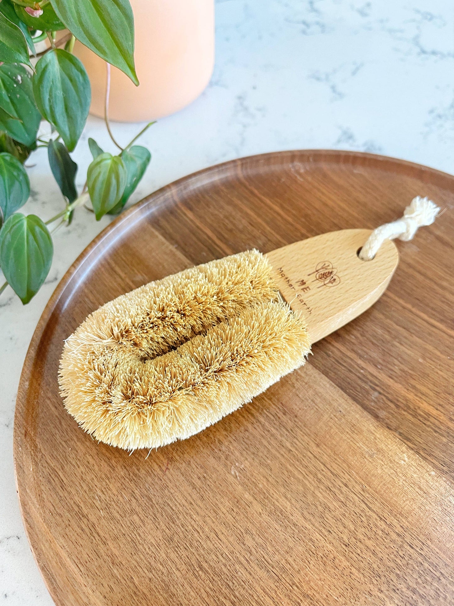 Coconut Scrub Brush | Household Cleaning Supplies