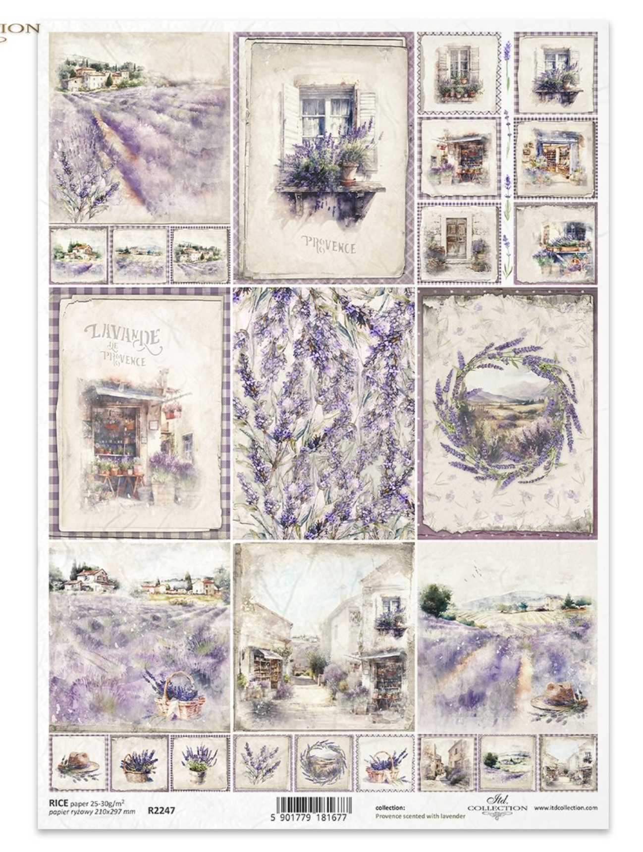 Provence Scented With Lavender