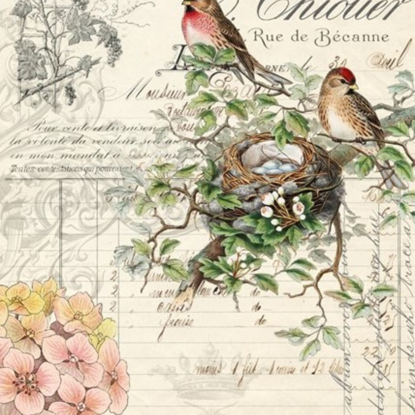 Bird Ephemera