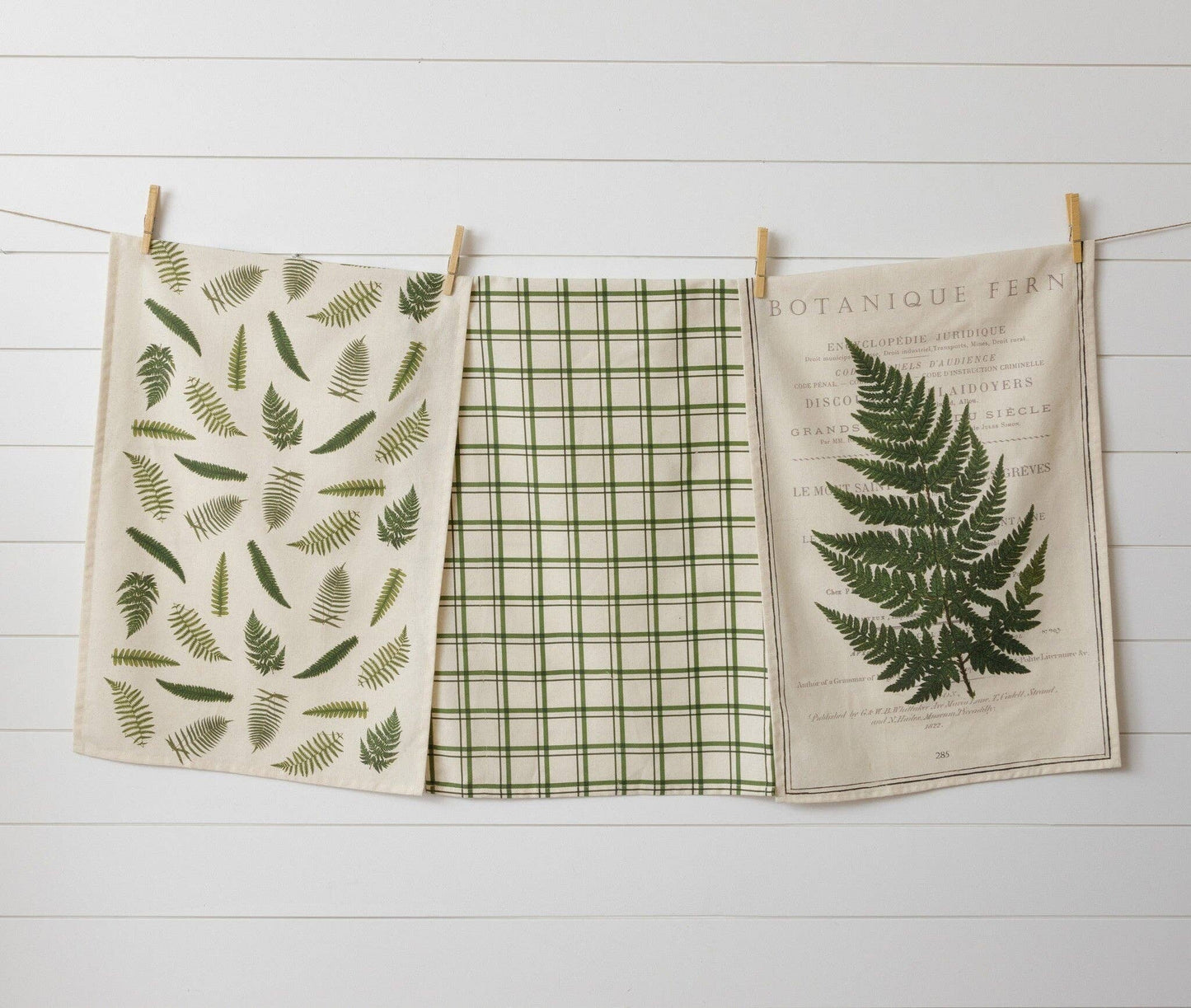 Tea Towels - Ferns Set /3