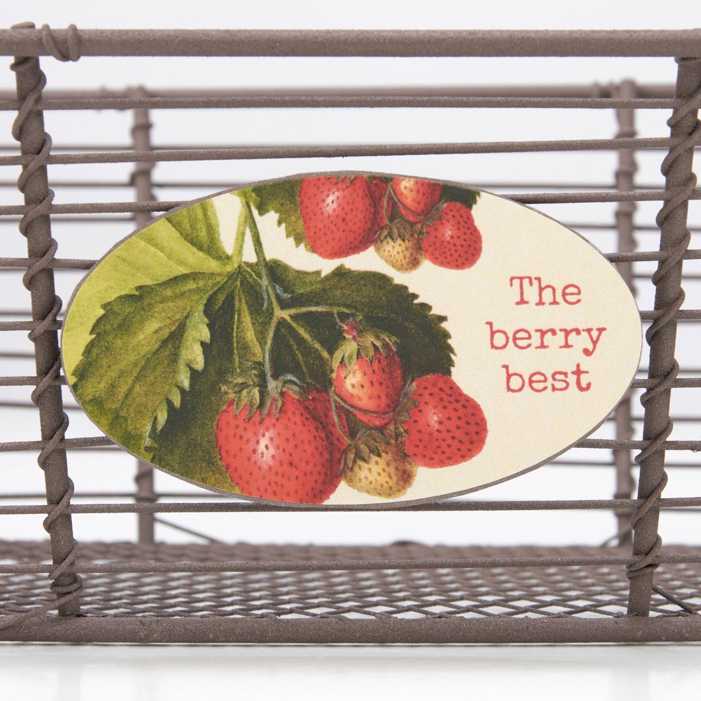 The Berry Best Decor Bin