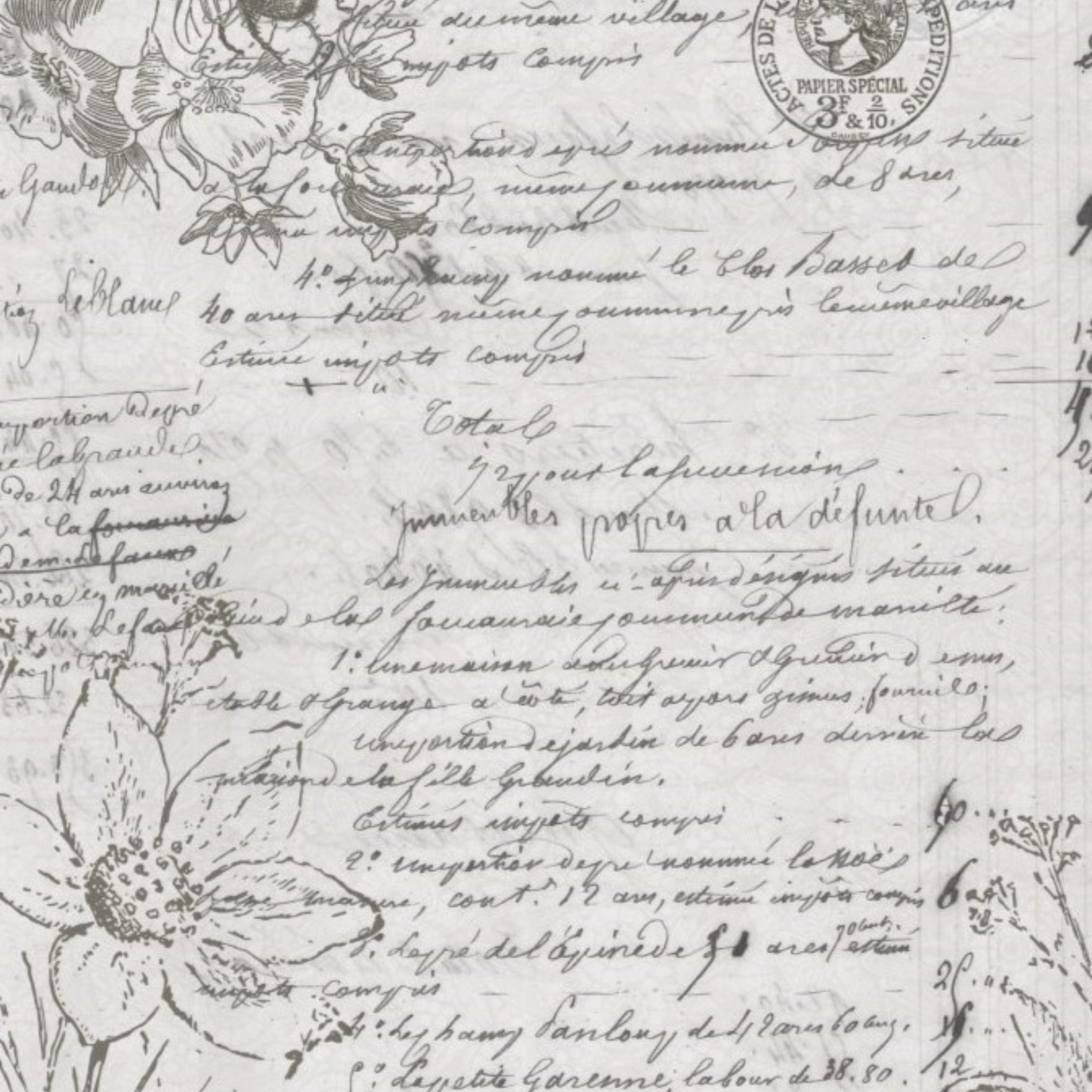 Natural History Decoupage Paper