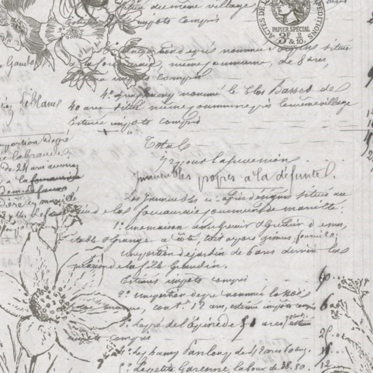 Natural History Decoupage Paper